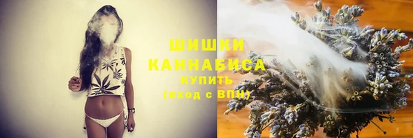 сатива Приозерск