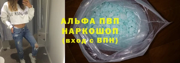 сатива Приозерск