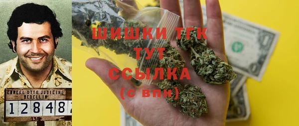 стафф Россошь