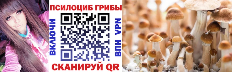 Псилоцибиновые грибы Magic Shrooms  Купить закладки  Клинцы 